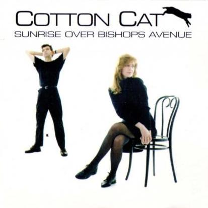 CottonCat_SunriseOverC.jpg
